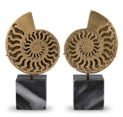 DEKORACIJA AMMONITE set/2