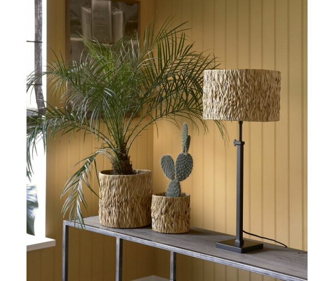 blagovna_znamka/L70982-3