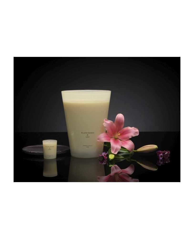 cereria-molla/velana-living-cereria-molla-premium-xxl-candle-lack-orchid-lily_1