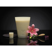 cereria-molla/velana-living-cereria-molla-scented-candle-black-orchid-lily_1