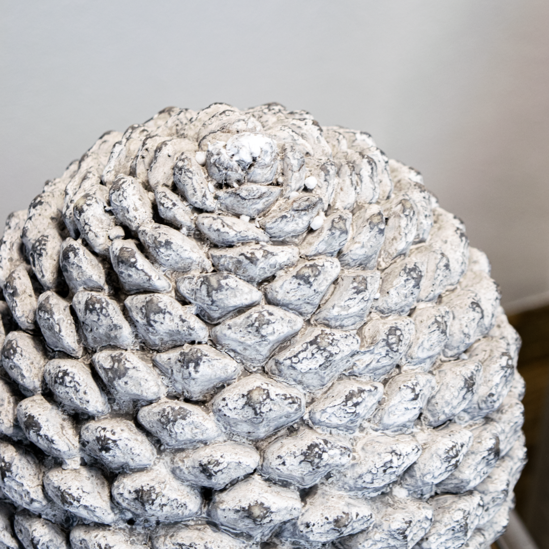 coastal-calm/L92653-6