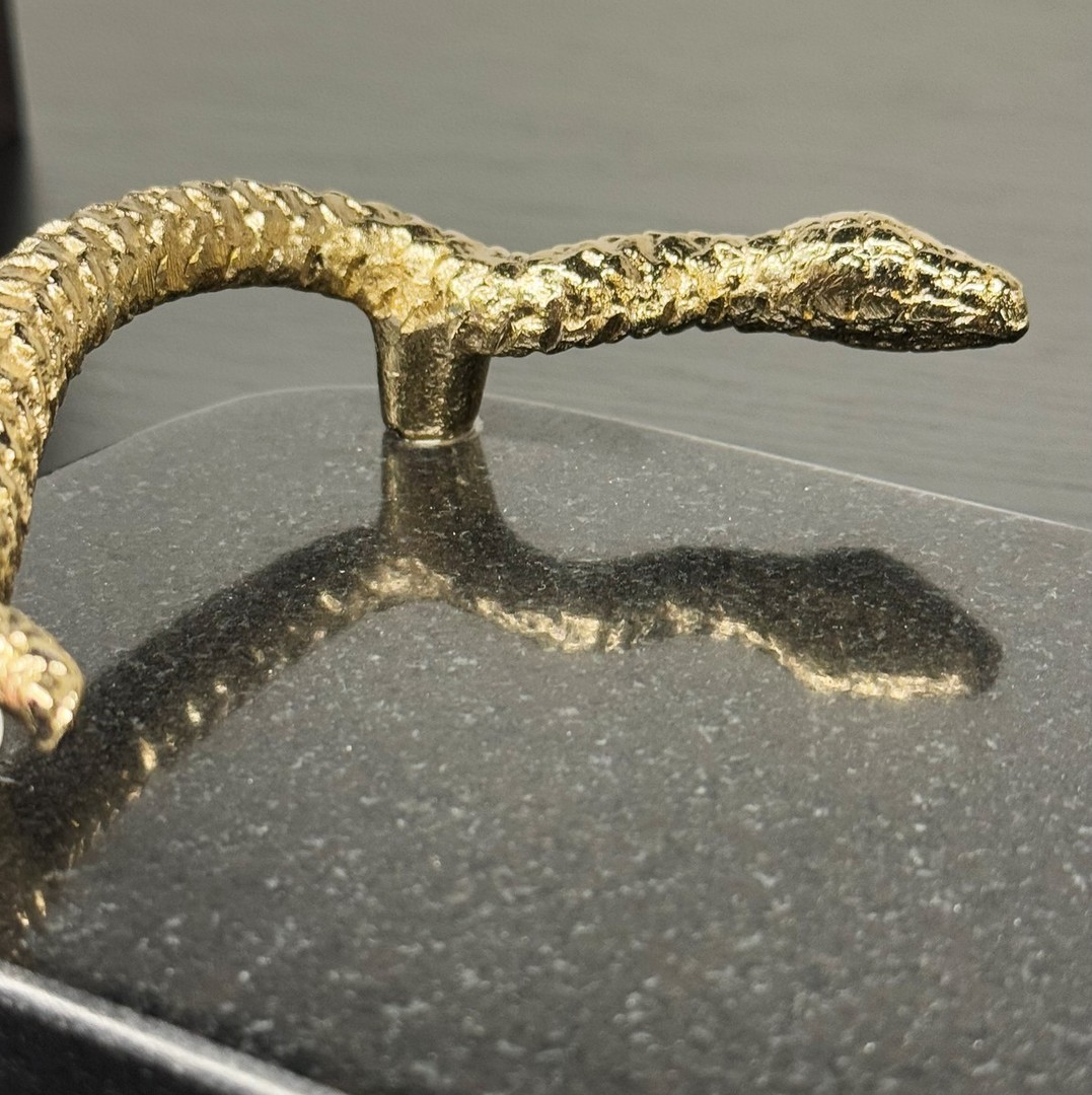 majestic-wildness/PLADENJ-SNAKE