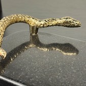 majestic-wildness/PLADENJ-SNAKE