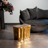 majestic-wildness/TABLE-GOLDEN-LOG_1_3