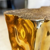 majestic-wildness/TABLE-GOLDEN-LOG_2_1