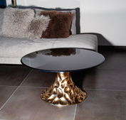 majestic-wildness/coffee-table-dent