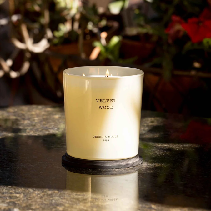 svece-in-disave/cereria-molla-candle-xl-velvet-wood_2_1