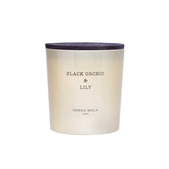 svece-in-disave/cereria-molla-slovenia-scented-candles-velana-living_1