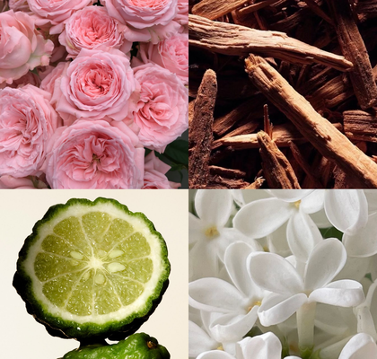 PREMIUM OSVEŽILEC BULGARIAN ROSE & OUD 3000ML 