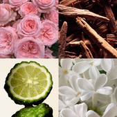 svece-in-disave/velana-living-cereraria-molla-bulgarian-rose-oud-air-freshener