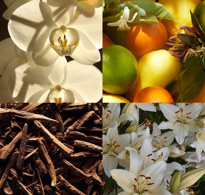 OSVEŽILEC PREMIUM BLACK ORCHID & LILY 3L