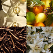 svece-in-disave/velana-living-cereria-molla-premium-difuzor-crna-orhideja