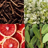 svece-in-disave/velana-living-cereria-molla-premium-xxl-candle-grapefruit-bay_1_1