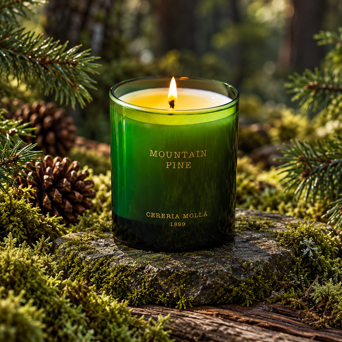 uvozeni-izdelki/Cereria-Molla-Velana-Living-bozicna-sveca-mountain-pine-M32929_1