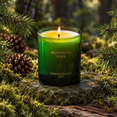 uvozeni-izdelki/Cereria-Molla-Velana-Living-bozicna-sveca-mountain-pine-M32929_1