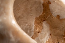 uvozeni-izdelki/L61857-1