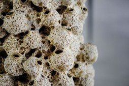 uvozeni-izdelki/L61923-1