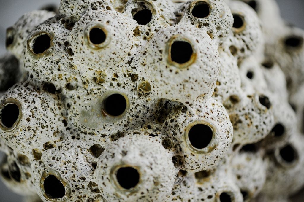 uvozeni-izdelki/L61923-3