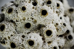 uvozeni-izdelki/L61923-3