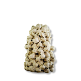 uvozeni-izdelki/L61923