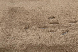 uvozeni-izdelki/L87312_L87313-3_1