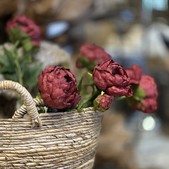 uvozeni-izdelki/L92341-1