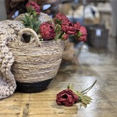 uvozeni-izdelki/L92341