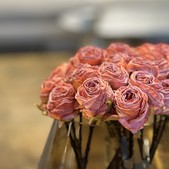 uvozeni-izdelki/L92350