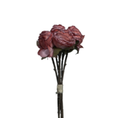 uvozeni-izdelki/L92350