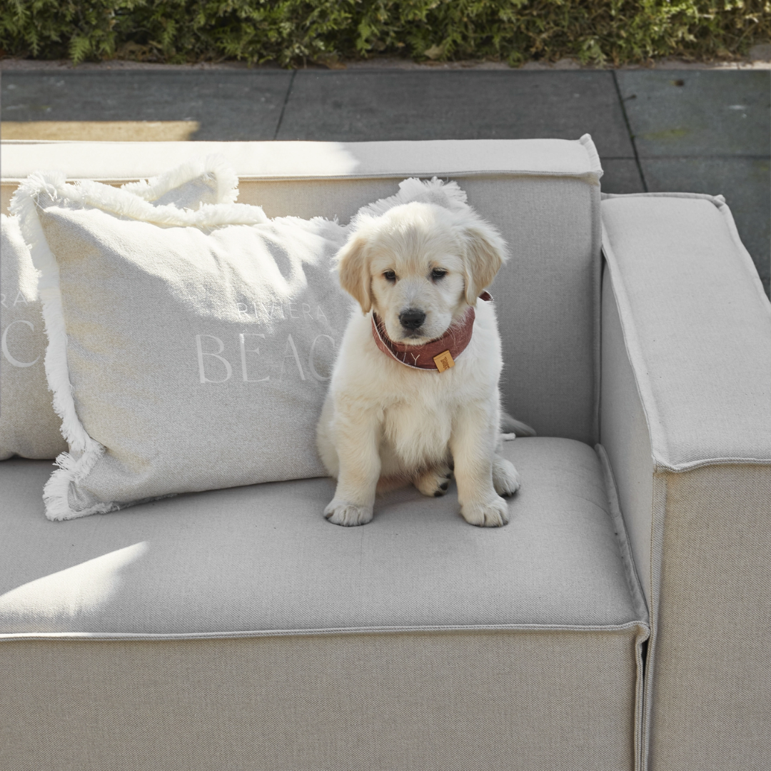 uvozeni-izdelki/Riviera-Maison-Velana-Living-Prevleka-za-blazino-beach-65X45_1