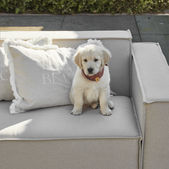 uvozeni-izdelki/Riviera-Maison-Velana-Living-Prevleka-za-blazino-beach-65X45_1