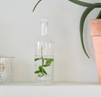 STEKLENICA S POKROVOM