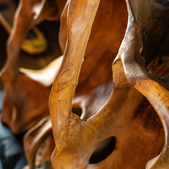 uvozeni-izdelki/VELANA-LIVING-SKULPTURA-KORENINA-TIKOVCA_1