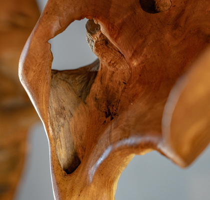 SKULPTURA KORENINA TIKOVCA