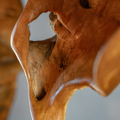 uvozeni-izdelki/VELANA-LIVING-SKULPTURA-KORENINA-TIKOVCA_2