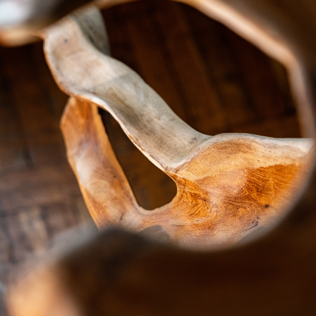 uvozeni-izdelki/VELANA-LIVING-SKULPTURA-KORENINA-TIKOVCA