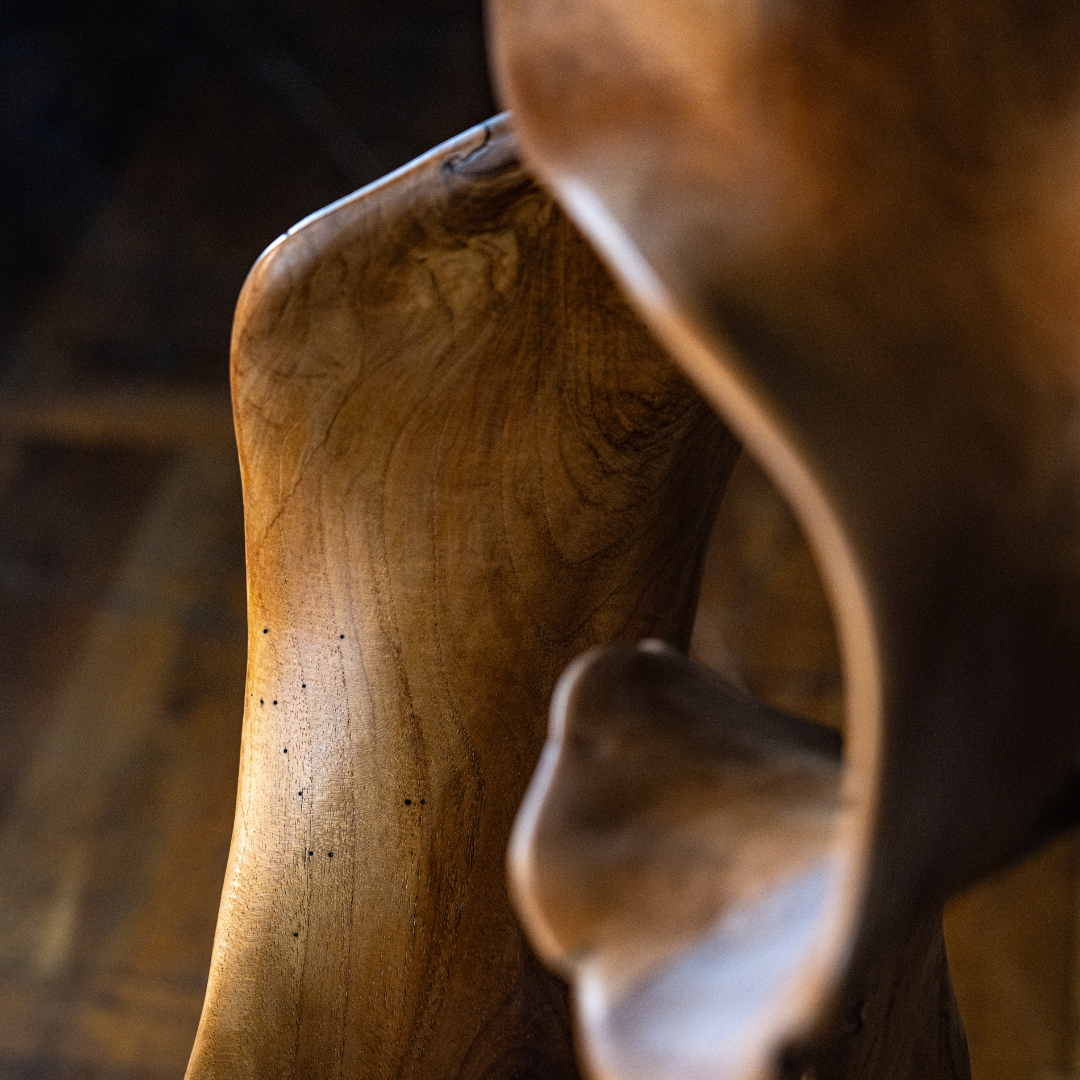 uvozeni-izdelki/VELANA-LIVING-SKULPTURA-NATUR-S_5