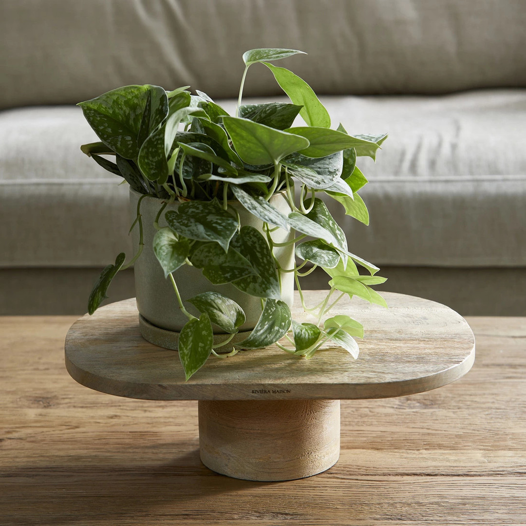 uvozeni-izdelki/Velana-Living-Riviera-Maison-544680-cake-stand-lecce_1