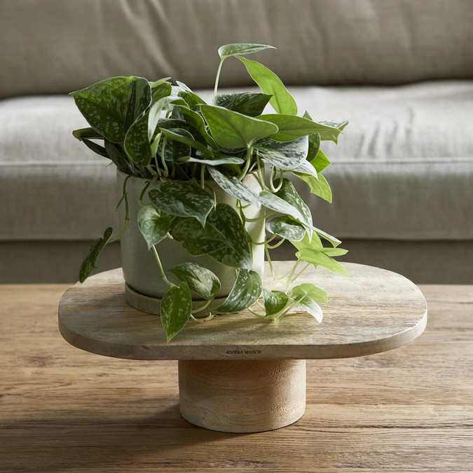 uvozeni-izdelki/Velana-Living-Riviera-Maison-544680-cake-stand-lecce_1