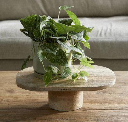 STOJALO ZA TORTO LECCE