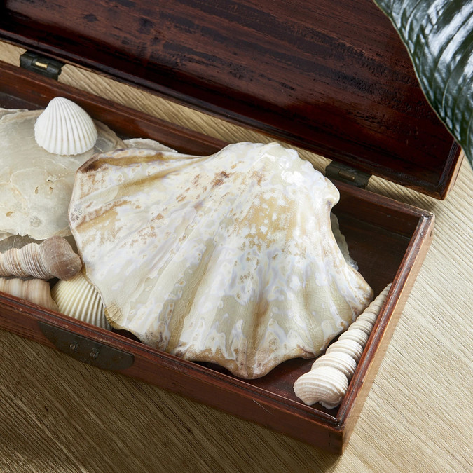 uvozeni-izdelki/Velana-Living-Riviera-Maison-557930-loule-m-decorative-shell_3
