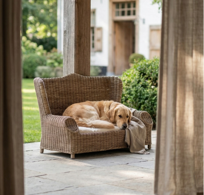 KOŠARA ZA PSA L NICOLAS