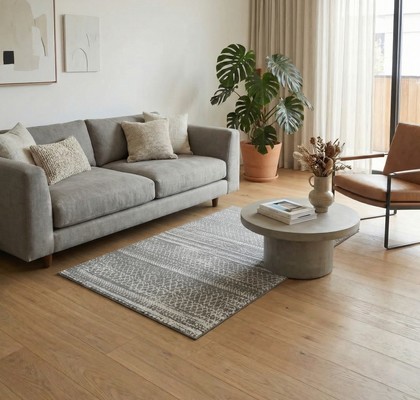 PREPROGA HIGHPOINT ANTRACID SREBRNA 120X180