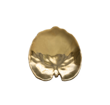 PLATE GOLDEN ALCHEMILLE