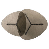 uvozeni-izdelki/richmond-interiors-coffee-table-riley-set2_1