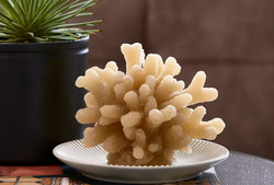 uvozeni-izdelki/riviera-maiosn-slovenija-velana-living-coral-candle_1