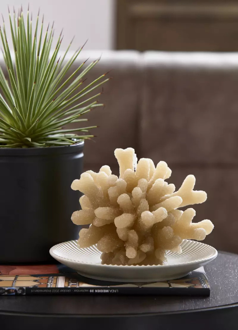 uvozeni-izdelki/riviera-maiosn-slovenija-velana-living-coral-candle_2