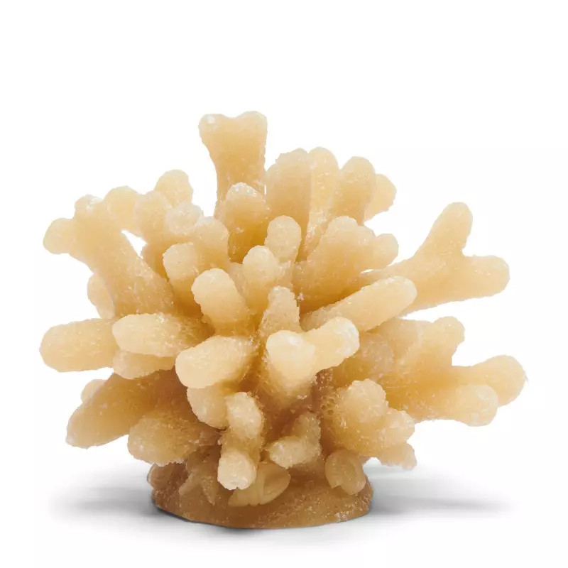 uvozeni-izdelki/riviera-maiosn-slovenija-velana-living-coral-candle