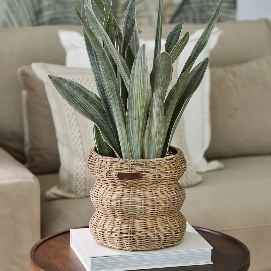 uvozeni-izdelki/riviera-maison-baskets-menaggio-rustic-rattan-574860_2