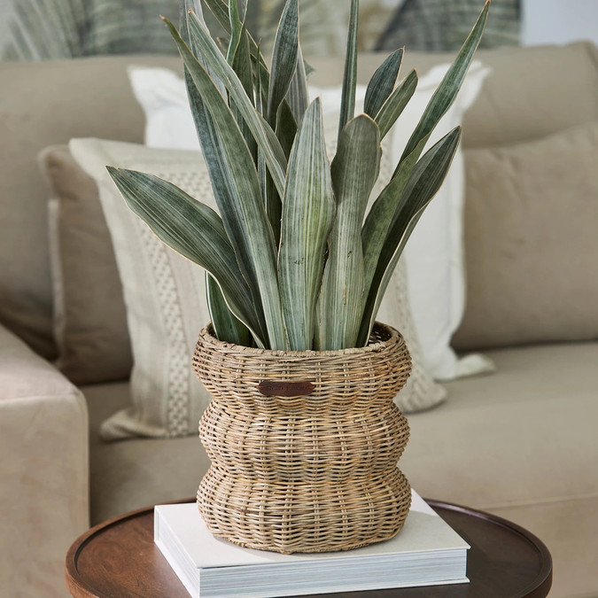 uvozeni-izdelki/riviera-maison-baskets-menaggio-rustic-rattan-574860_2